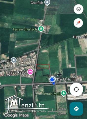 أرض للبيع على الطريق الرئيسي