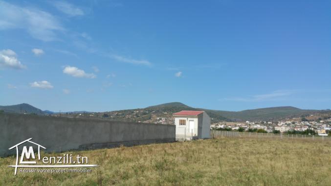 Vends petite Maison neuve de 45m2 sur un terrain de  6 420 m2, Tabarka Bhira