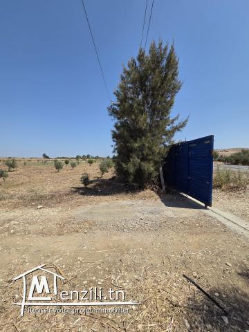 مستودع للإيجار