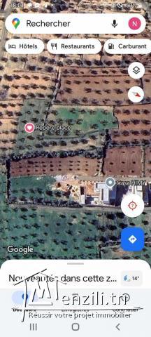 Terrain agricole d'avenir à vendre