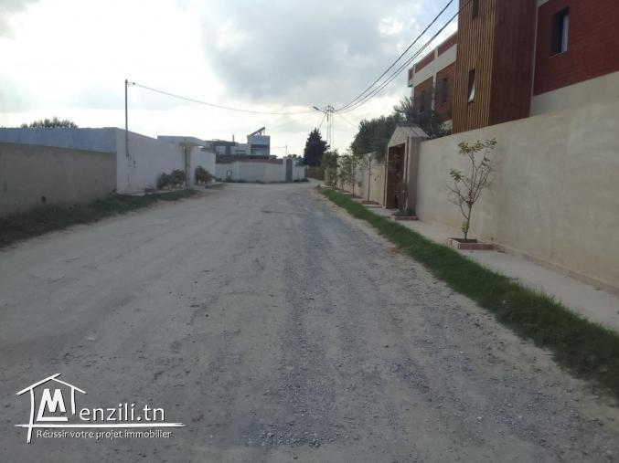 Terrain agricole d'avenir à vendre