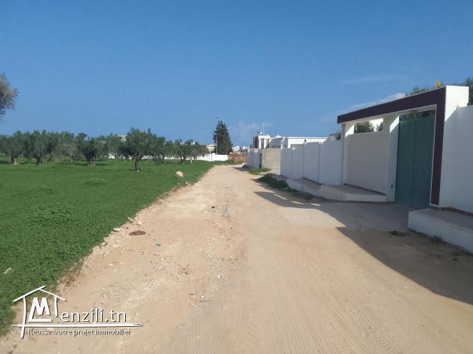 Terrain agricole d'avenir à vendre