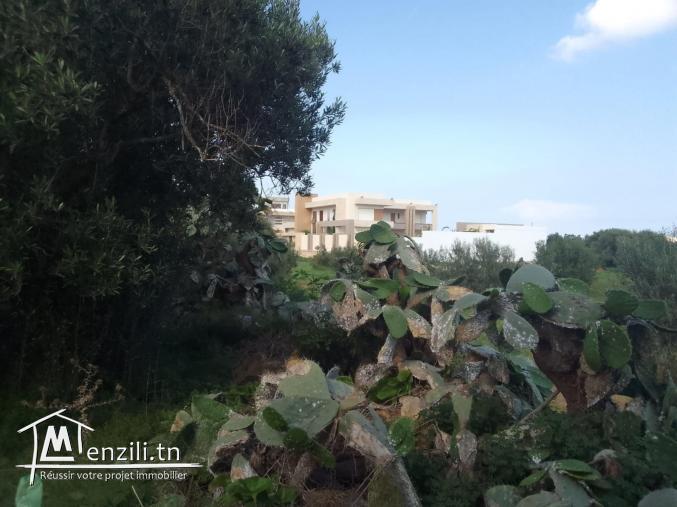 Terrain agricole d'avenir à vendre