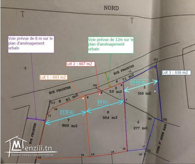 العويجة قطع ارض للبيع منطقة