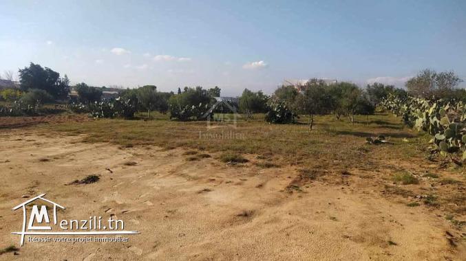 Terrain de 1932 m² à Birbouragba à vendre 51355351