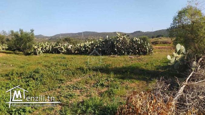 Terrain de 1932 m² à Birbouragba à vendre 51355351