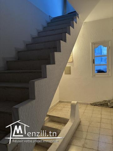 Grand appartement + 2 garages