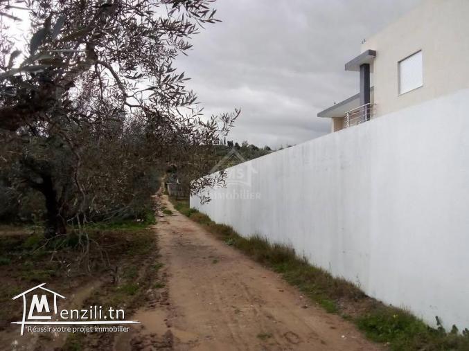 Un terrain de 220 m² à Birbouragba à vendre 51355351