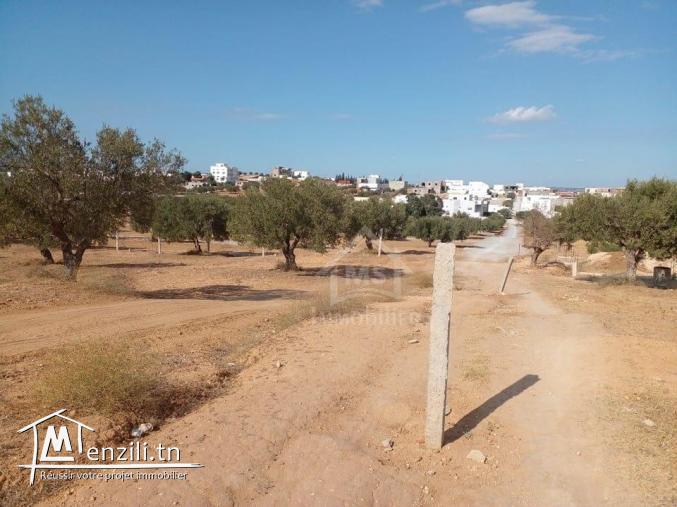 Terrain de 400 m² avec vue de mer à Hammamet Sud à vendre