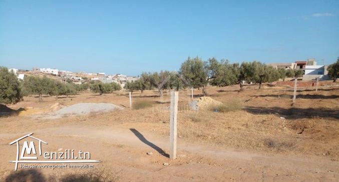 Terrain de 400 m² avec vue de mer à Hammamet Sud à vendre