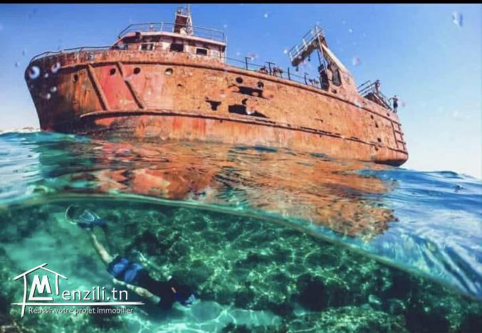 Terrain pied dans l'eau à sidi_mansour_hammem_ghezaz