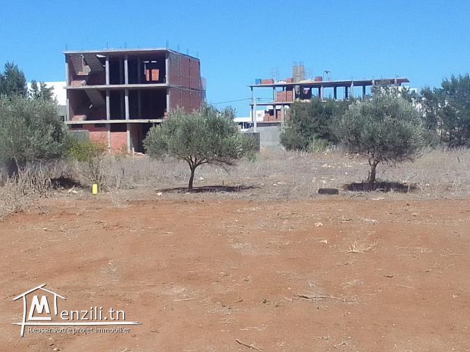 دارعلوش قطعة ارض صالحة للبناء