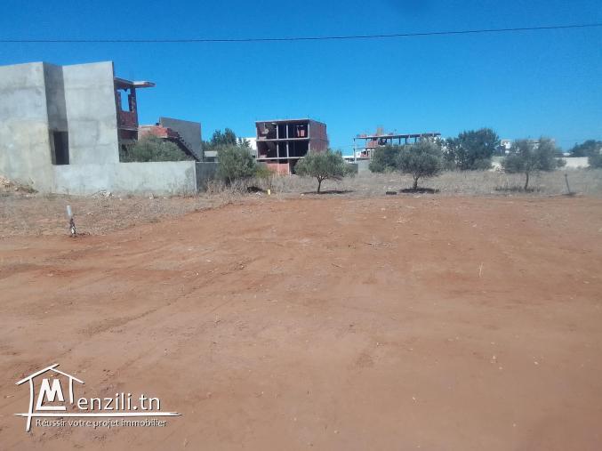 دارعلوش قطعة ارض صالحة للبناء