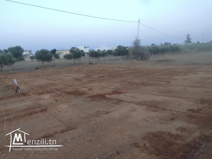 دارعلوش قطعة ارض صالحة للبناء