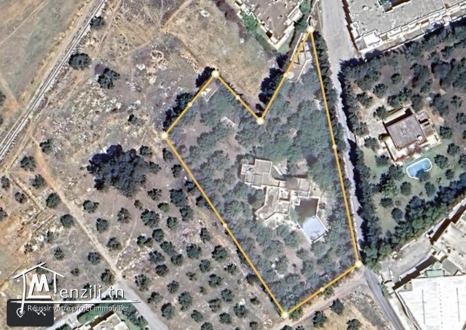 Terrain r+3 vue mer hammamet nord zone touristique