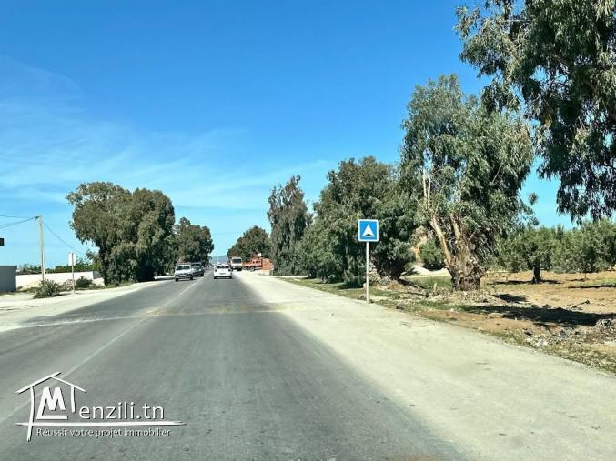 2000m borj hfaydh hamammet