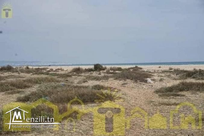 5000m a klm 71 hamammet sud