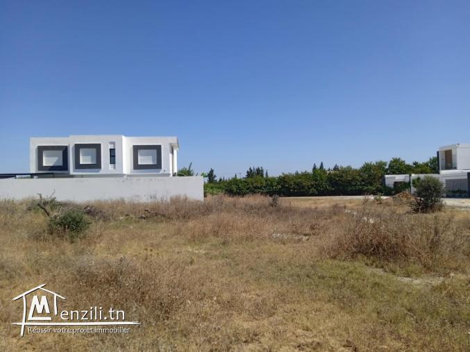 1000m bareket essahel C 28