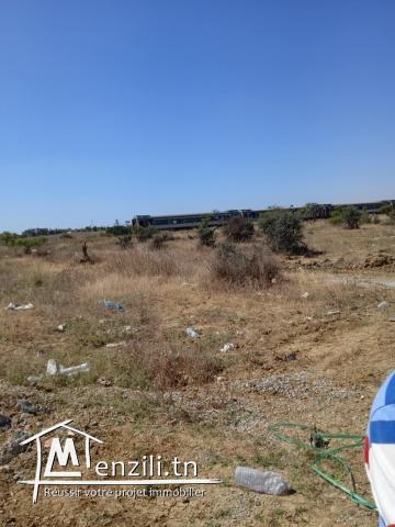 1000m bareket essahel C 28