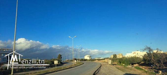 460m plus plate de forme mrezga