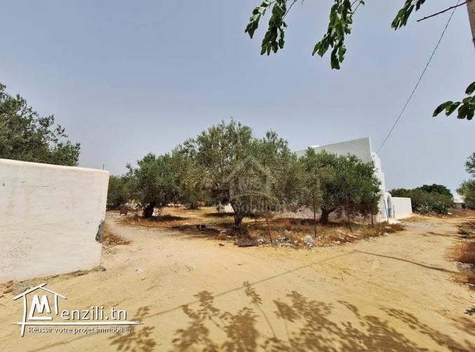 Terrain de 376 m² à vendre à manaret Hammamet 51355351