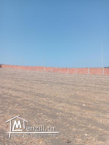 Terrain à vendre à Menzel Abderrahmane Bizerte