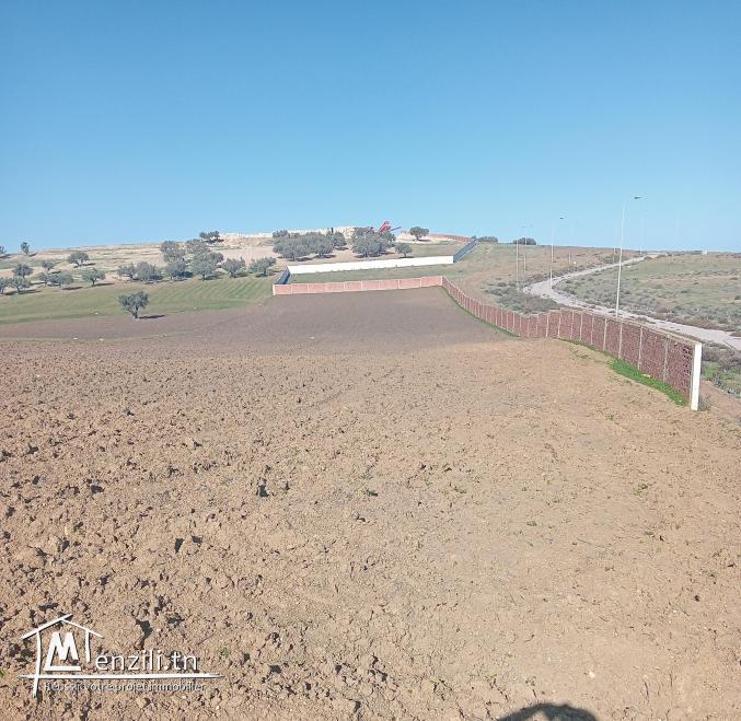 Terrain à vendre à Menzel Abderrahmane Bizerte