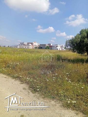 Un terrain de 1000 m² à KM71 coté plage à vendre 51355351