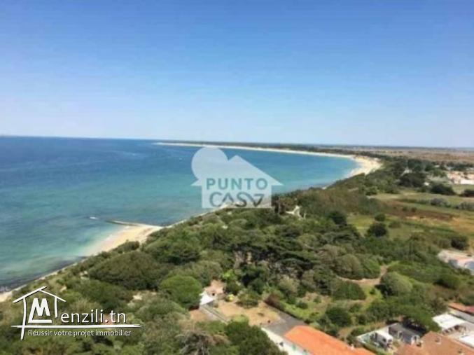 À vendre  terrain  d’habitation situé à Bekalta – Charaf