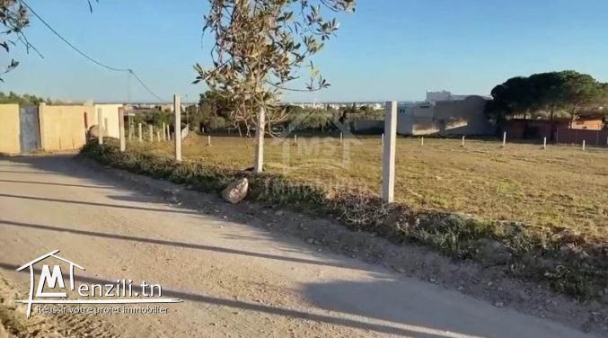 Un terrain vue de mer à vendre à Béni Khiar 51355351