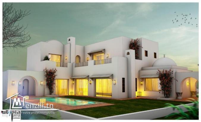 V547 Villa FOLLA 2 ZONE CHRAF D