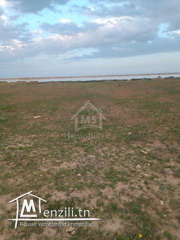 Terrain pieds dans l'eau de 9716 m² à korba à vendre 51355351