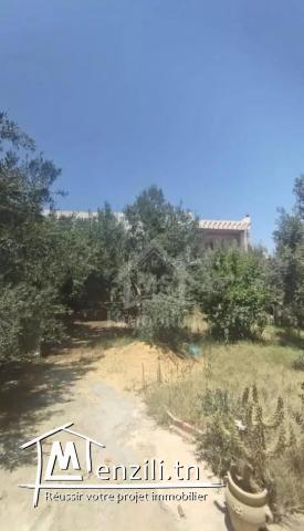 Une propriété à vendre 536 m² de  à Hammamet Sud