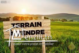 À vendre : Terrain à Raoued avec Titre Foncier Individuel