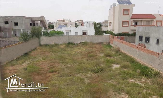 Vente petit jnen à la Soukra, Sfax