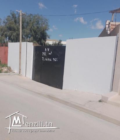 Vente petit jnen à la Soukra, Sfax