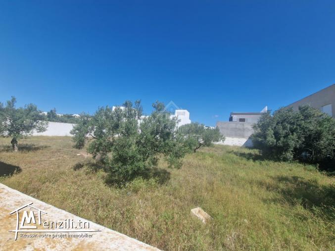 Superbe terrain de 1000 m² à Mrezga à vendre 51355351