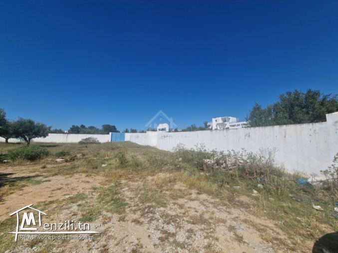 Superbe terrain de 1000 m² à Mrezga à vendre 51355351