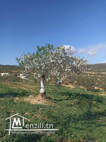 Propriété de Charme