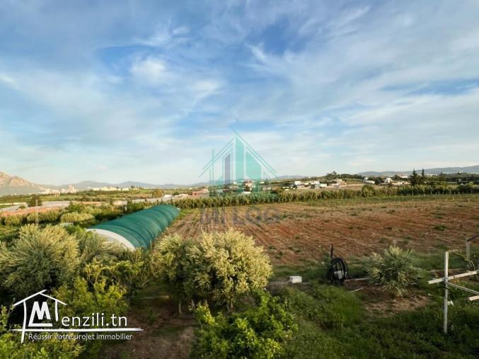 Ferme de 3 Hectares à Mornag