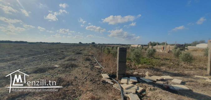 للبيع سانية فلاحية 5هكتارات  في منطقة الشرف – الهوارية