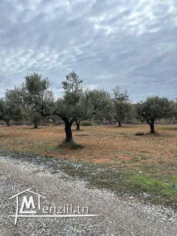 terrain à cham nacim prés de jardin d'el menzah