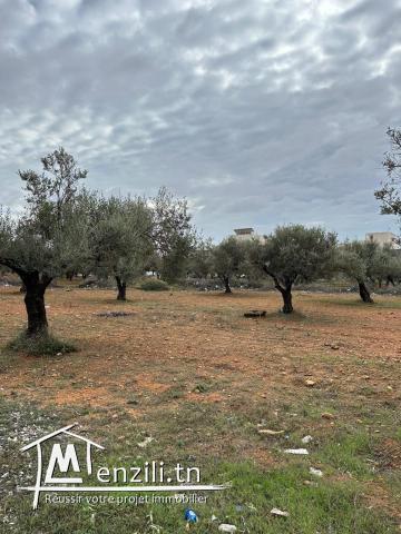 terrain à cham nacim prés de jardin d'el menzah