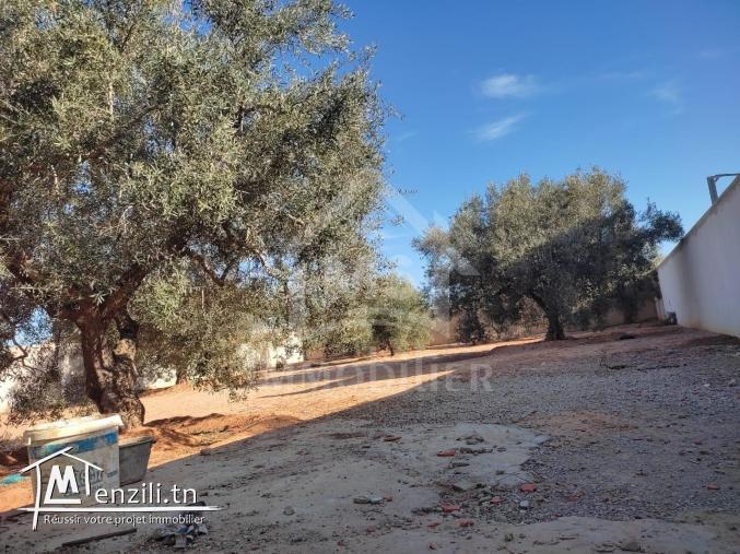 Terrain clôturé de 876 m² à Hammamet Sud à vendre 51355351