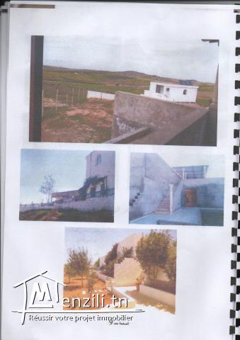 Terrain agricole commerciale