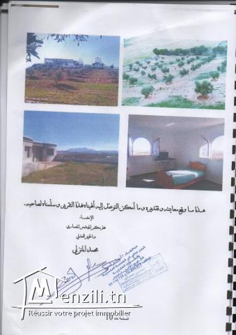 Terrain agricole commerciale