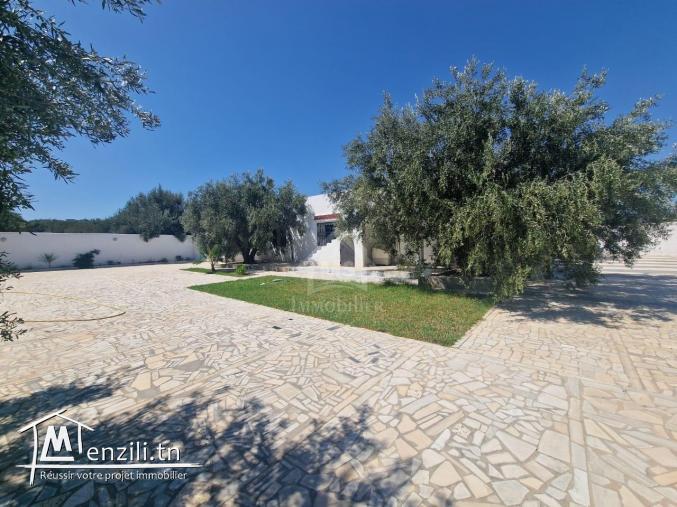 Spacieuse maison S+2 à Hammamet Sud à vendre 51355351