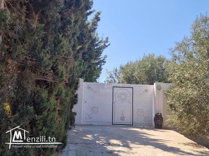 Spacieuse maison S+2 à Hammamet Sud à vendre 51355351