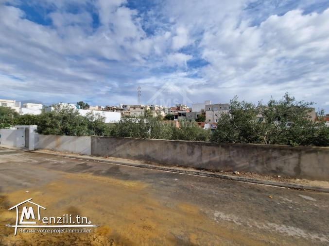 Terrain clôturé de 658 m² à Hammamet Nord à vendre 51355351