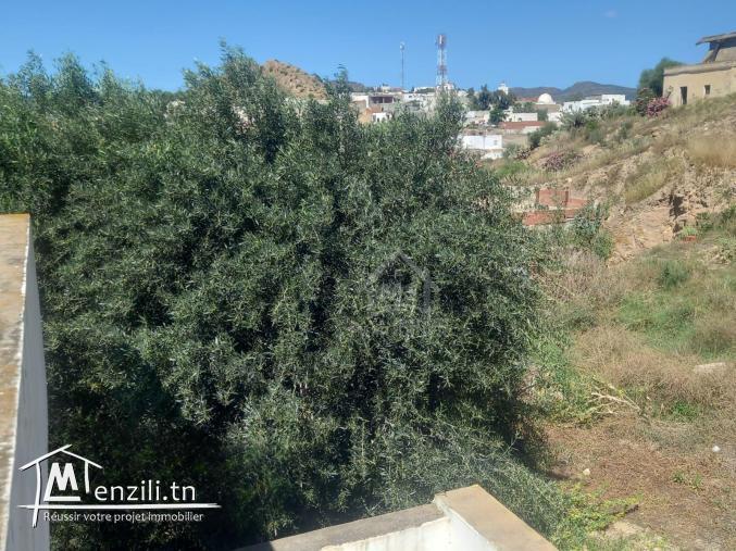 Maison S+2 avec un terrain à vendre à Hammamet Sud 51355351
